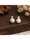 Crystal Teardrop Drop Earrings